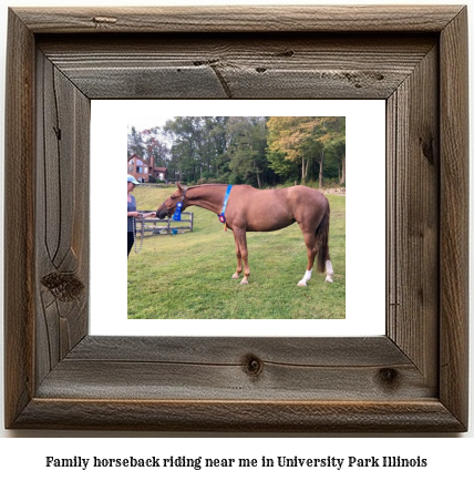 family horseback riding near me in University Park, Illinois